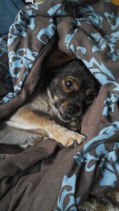 Kuscheln ist so schön