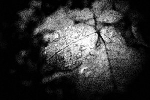 SAMSUNG CAMERA PICTURES