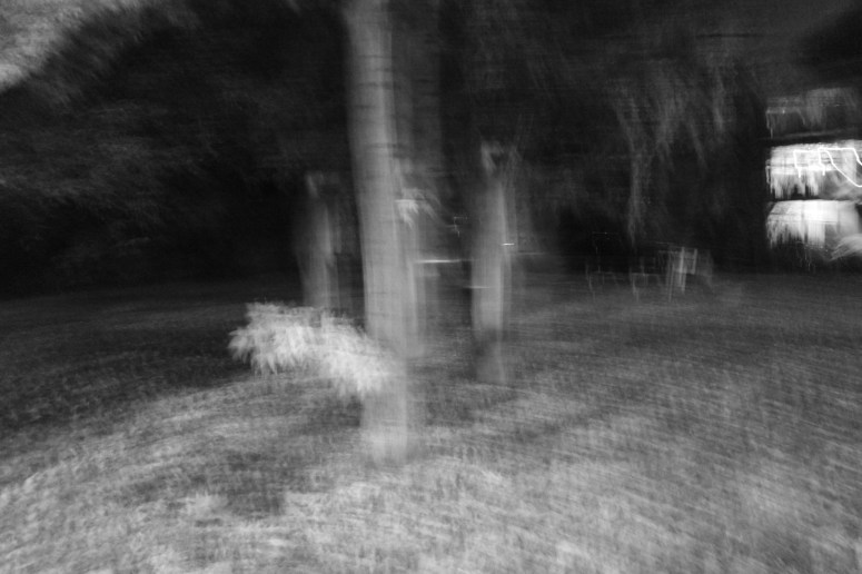 SAMSUNG CAMERA PICTURES