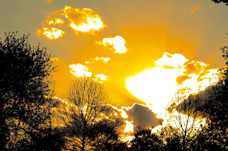 SAMSUNG CAMERA PICTURES